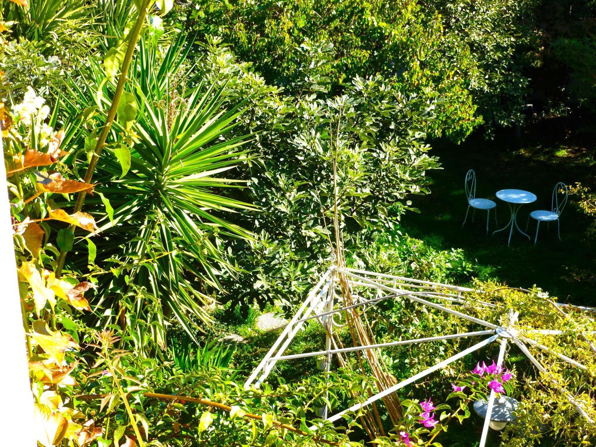 Quadruple Room Garden View